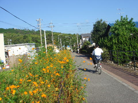９月に撮影した自転車歩行者専用道路です。