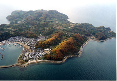 大島の航空写真です。海に囲まれた島全体が撮影されています。