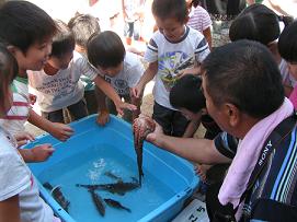 生の魚とのふれあい体験