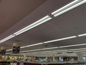 LED