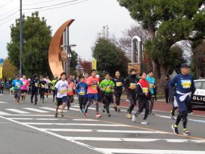 ５km②