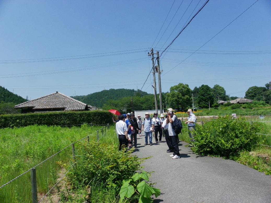 参加者が山田社宅界隈を歩いている写真です