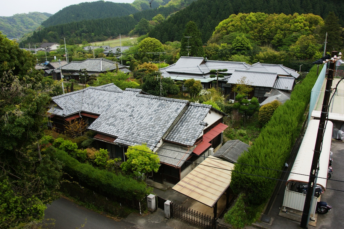 北側の高台から見下ろした共電社宅２棟の写真です