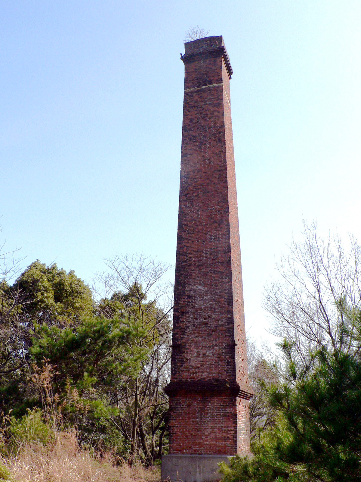 旧山根製錬所煙突の写真です