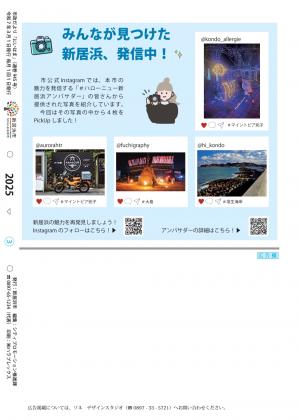 市政