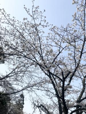 ②
