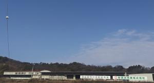 新居浜青果