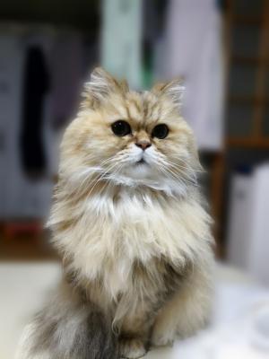 ルイ　平尾さん