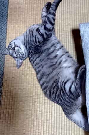 ②