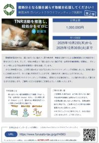 チラシ１