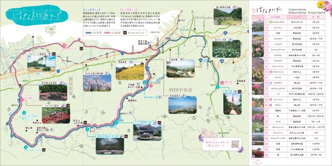 ロードマップ裏