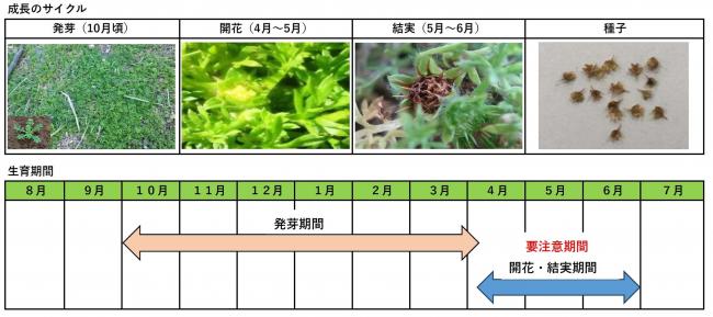 成長のサイクル