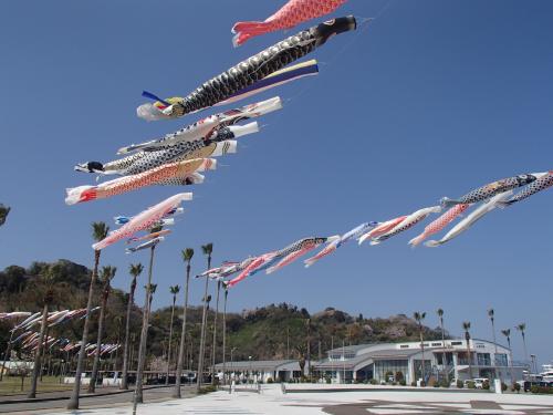 マリンパーク新居浜_鯉のぼり