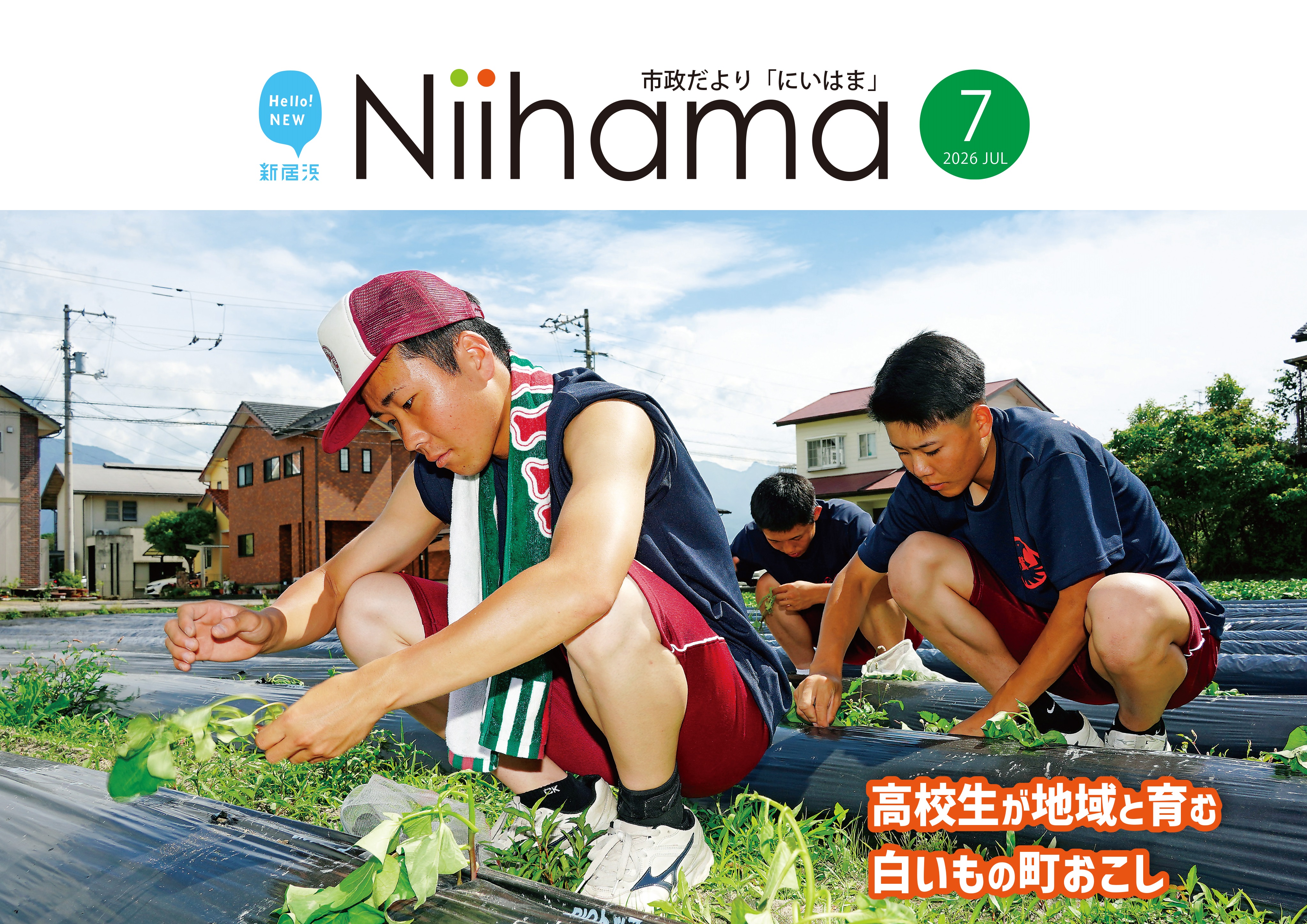 市政だより７月号
