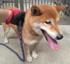 ③