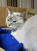 ②