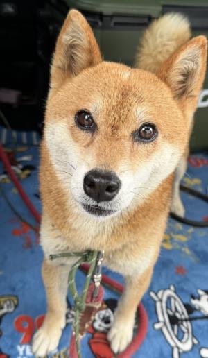 ①