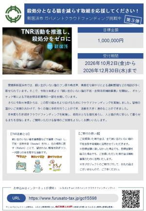 チラシ表