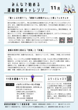 11月