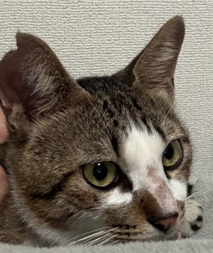 ②
