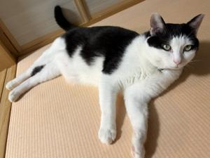 ②