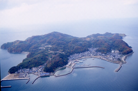 大島漁港の全体写真です