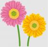 ガーベラの絵