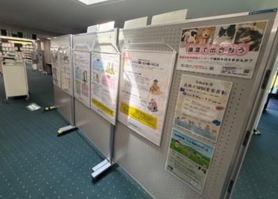 展示の様子（裏）