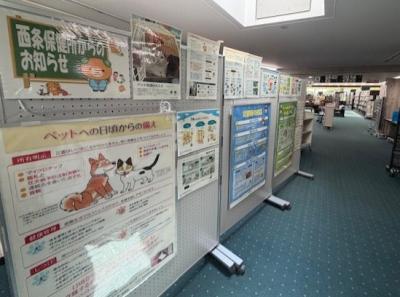 展示の様子（表）